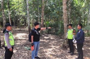 Pria di Puring Tewas Usai Terjatuh dari Pohon Kelapa Saat Menderes