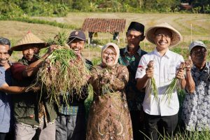 Bupati Lilis Nuryani Apresiasi Panen Raya Bawang Merah di Desa Tlogowulung: Ubah Lahan Pegunungan Jadi Sentra Pertanian Produktif