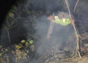 Kebakaran Hutan Pinus di Sadang Berhasil Dipadamkan, Penyebab Masih Diselidiki