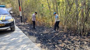 Lahan Bambu Seluas Satu Hektare Terbakar di Karanggayam Kebumen